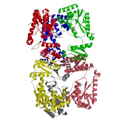 Image of CATH 5uds