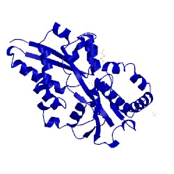 Image of CATH 5um2