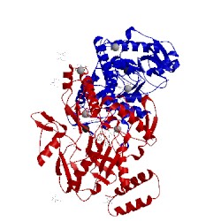 Image of CATH 5uoa