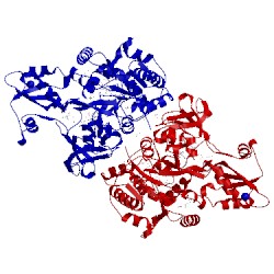 Image of CATH 5ups