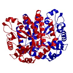 Image of CATH 5utp