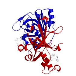 Image of CATH 5uvp