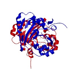 Image of CATH 5v45