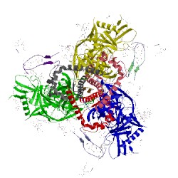 Image of CATH 5v8l