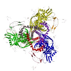 Image of CATH 5v8m