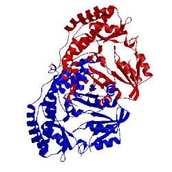 Image of CATH 5vc2
