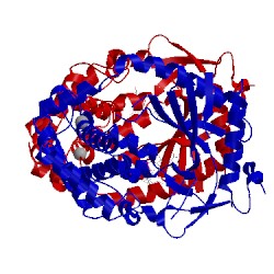 Image of CATH 5vds