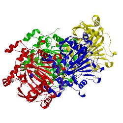 Image of CATH 5vgi