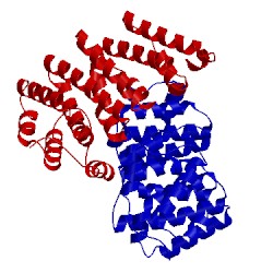 Image of CATH 5vjc