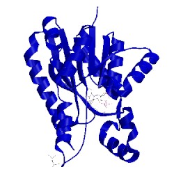 Image of CATH 5vml