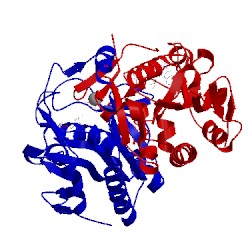 Image of CATH 5vn4