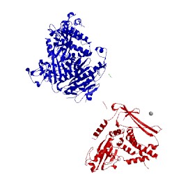 Image of CATH 5vne