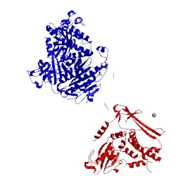 Image of CATH 5vnh