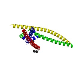 Image of CATH 5vpc