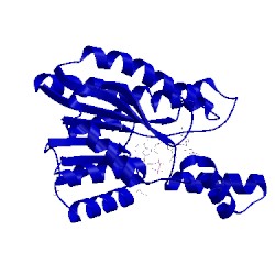 Image of CATH 5vps