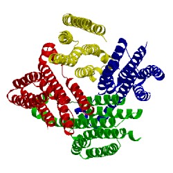 Image of CATH 5vre