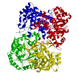 Image of CATH 5vsv