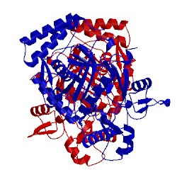 Image of CATH 5vv2