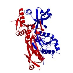 Image of CATH 5vym