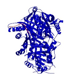 Image of CATH 5w6v