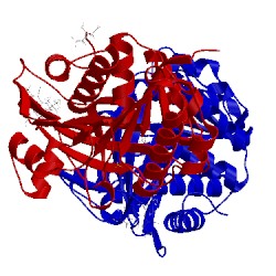 Image of CATH 5wbz