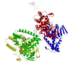 Image of CATH 5wfe