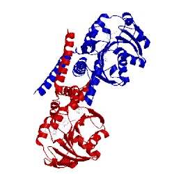 Image of CATH 5whx