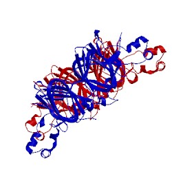 Image of CATH 5wpw