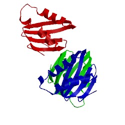 Image of CATH 5x2d