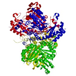 Image of CATH 5x2y