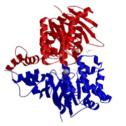 Image of CATH 5x40