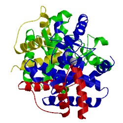 Image of CATH 5x42