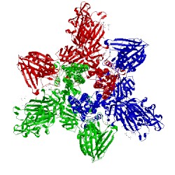 Image of CATH 5x59