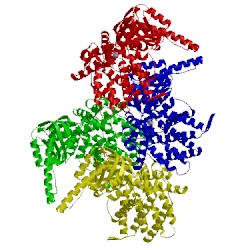 Image of CATH 5x9v