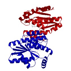 Image of CATH 5xai