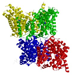 Image of CATH 5xar