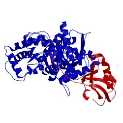 Image of CATH 5xbf