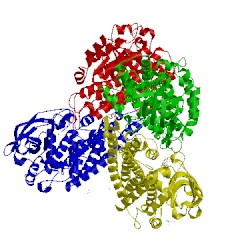 Image of CATH 5xdb