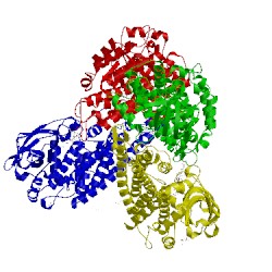 Image of CATH 5xde