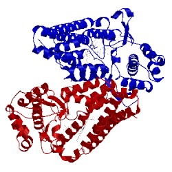 Image of CATH 5xe1