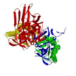 Image of CATH 5xlb