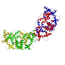 Image of CATH 5xnx