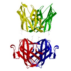 Image of CATH 5xof