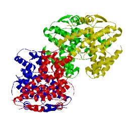 Image of CATH 5xto