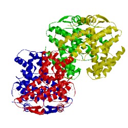 Image of CATH 5xtp