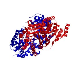 Image of CATH 5xvm