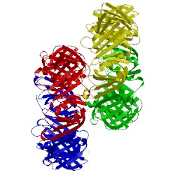 Image of CATH 6amq