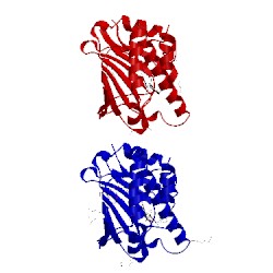 Image of CATH 6aom