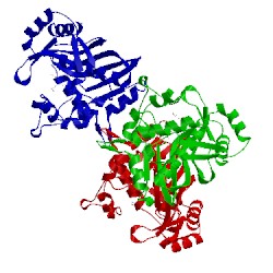 Image of CATH 6auj