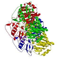 Image of CATH 6eqs